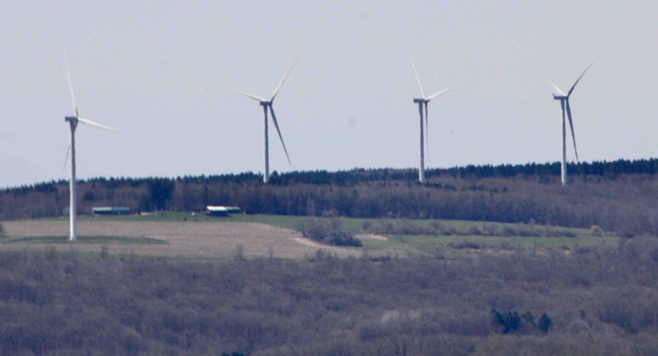 Wind turbines like these in northern Chauatauqua County, visible from the Cattaraugus County town of Dayton, are at the heart of a challenge by Cattaraugus County to the state Siuting Board's power to override a county road use agreement with the Alle-Catt developer. (Rick Miller/Olean Star)