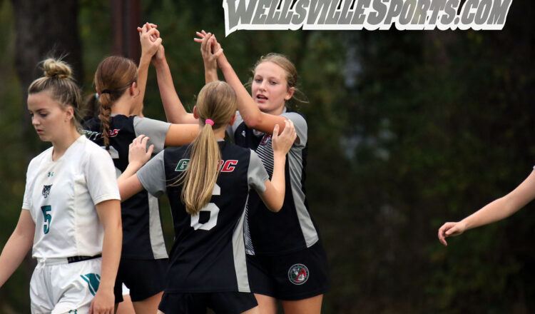 photos by CHRIS BROOKS, managing editor, wellsvillesports.com