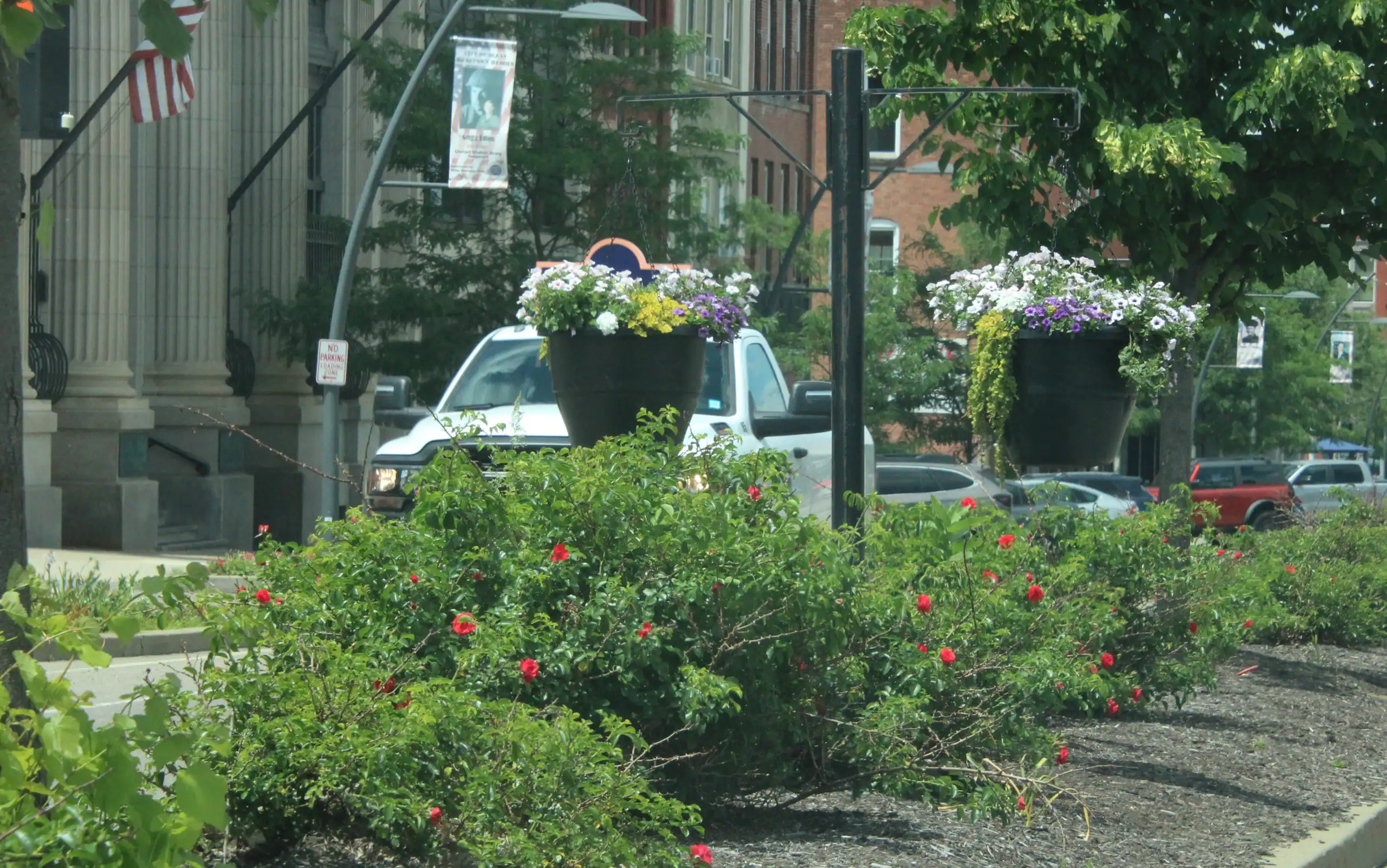 (Rick Miller/Olean Star) New plantings in the North Union Street median through a grant from the Cattaraugus Region Community Foundations, city departments and community volunteers.