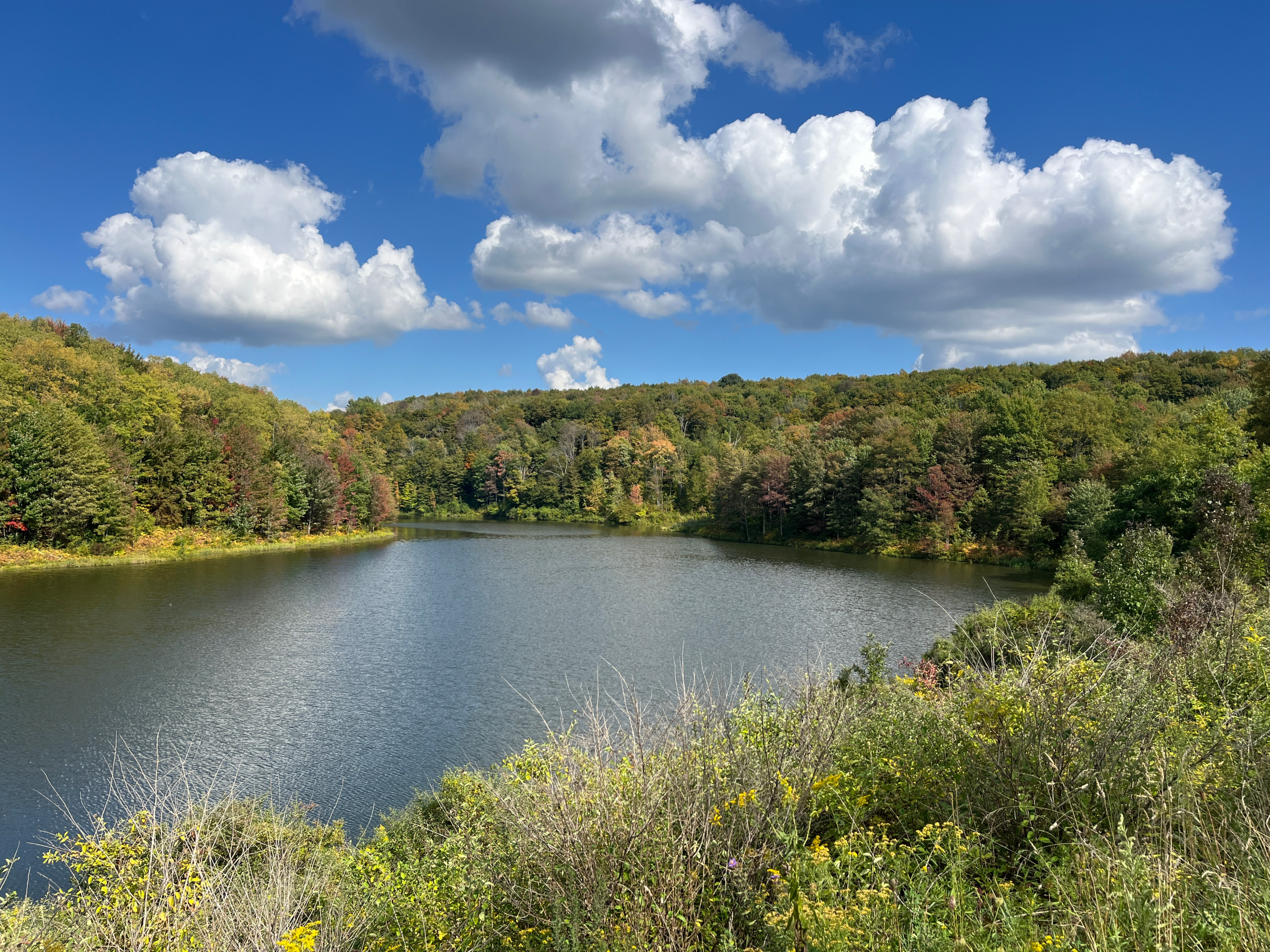 Rick Miller/Olean Star) Ploetz Pond off Route 219 north of Ellicottville is showing off its colorful leaves earlier thna usual this year.
